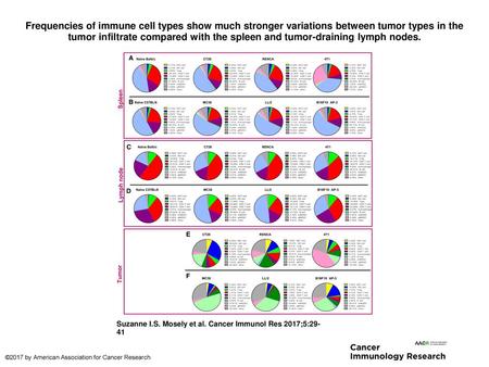 Frequencies of immune cell types show much stronger variations between tumor types in the tumor infiltrate compared with the spleen and tumor-draining.
