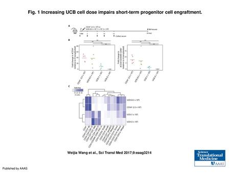 Fig. 1 Increasing UCB cell dose impairs short-term progenitor cell engraftment. Increasing UCB cell dose impairs short-term progenitor cell engraftment.
