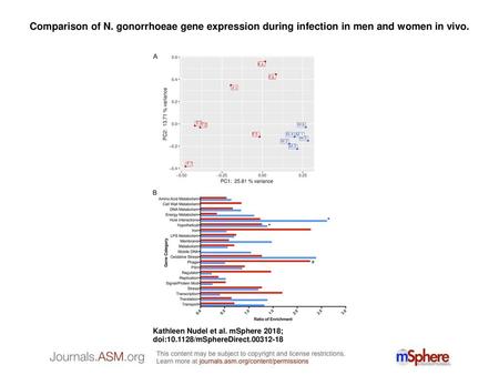 Comparison of N. gonorrhoeae gene expression during infection in men and women in vivo. Comparison of N. gonorrhoeae gene expression during infection in.