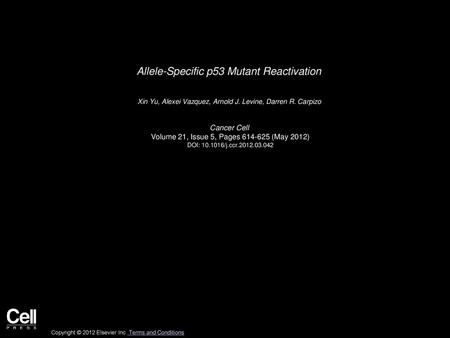 Allele-Specific p53 Mutant Reactivation