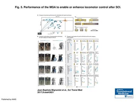 Fig. 5. Performance of the MGA to enable or enhance locomotor control after SCI. Performance of the MGA to enable or enhance locomotor control after SCI.