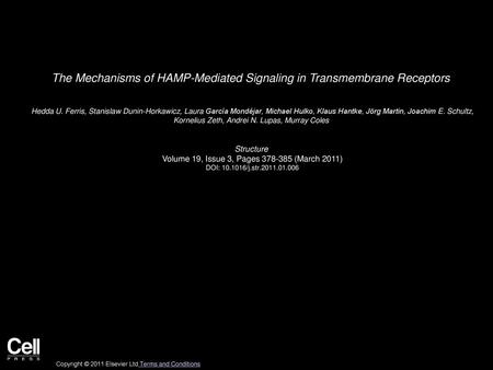 The Mechanisms of HAMP-Mediated Signaling in Transmembrane Receptors