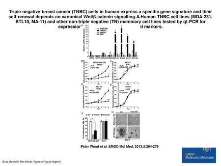 Triple‐negative breast cancer (TNBC) cells in human express a specific gene signature and their self‐renewal depends on canonical Wnt/β‐catenin signalling.A.Human.