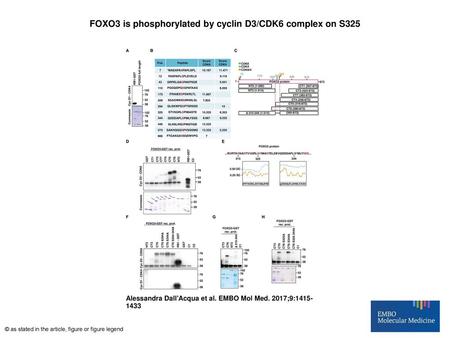 FOXO3 is phosphorylated by cyclin D3/CDK6 complex on S325