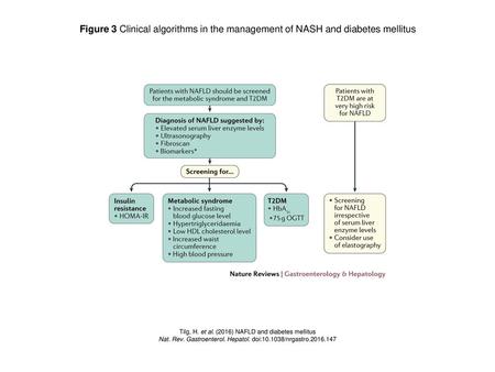 Figure 3 Clinical algorithms in the management of NASH and diabetes mellitus Figure 3 | Clinical algorithms in the management of NASH and diabetes mellitus.
