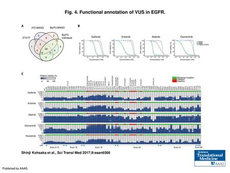 Fig. 4. Functional annotation of VUS in EGFR.