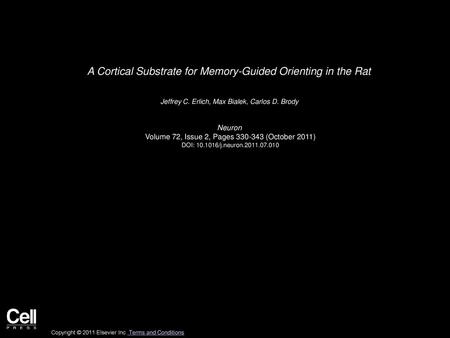 A Cortical Substrate for Memory-Guided Orienting in the Rat