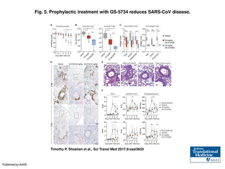 Fig. 5. Prophylactic treatment with GS-5734 reduces SARS-CoV disease.
