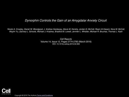 Dynorphin Controls the Gain of an Amygdalar Anxiety Circuit