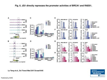 JQ1 directly represses the promoter activities of BRCA1 and RAD51