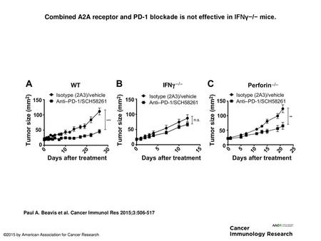 Combined A2A receptor and PD-1 blockade is not effective in IFNγ−/− mice. Combined A2A receptor and PD-1 blockade is not effective in IFNγ−/− mice. AT-3ovadim.