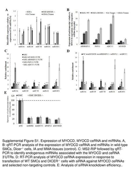 Supplemental Figure S1. Expression of MYOCD, MYOCD ceRNA and miRNAs