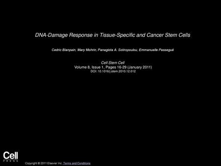 DNA-Damage Response in Tissue-Specific and Cancer Stem Cells