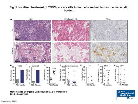 Fig. 1 Localized treatment of TNBC cancers kills tumor cells and minimizes the metastatic burden. Localized treatment of TNBC cancers kills tumor cells.