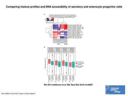 Comparing histone profiles and DNA accessibility of secretory and enterocyte progenitor cells Comparing histone profiles and DNA accessibility of secretory.