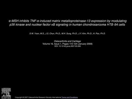 Α-MSH inhibits TNF-α-induced matrix metalloproteinase-13 expression by modulating p38 kinase and nuclear factor κB signaling in human chondrosarcoma HTB-94.