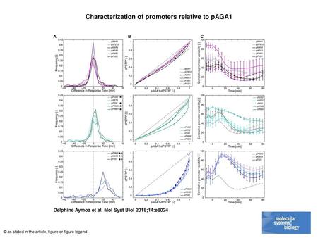 Characterization of promoters relative to pAGA1