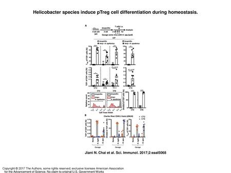 Helicobacter species induce pTreg cell differentiation during homeostasis. Helicobacter species induce pTreg cell differentiation during homeostasis. (A)