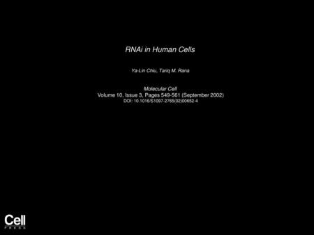 RNAi in Human Cells Molecular Cell