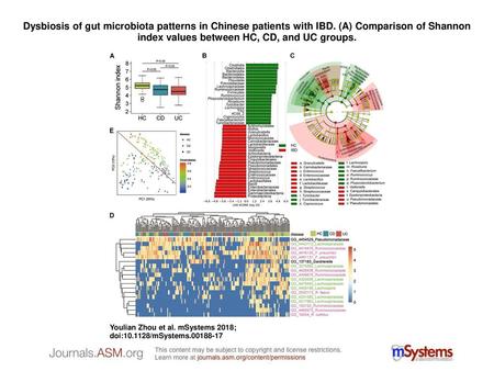 Dysbiosis of gut microbiota patterns in Chinese patients with IBD