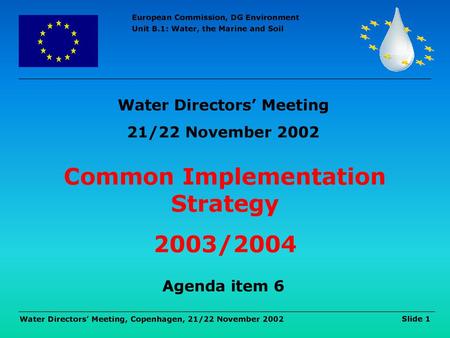 Water Directors’ Meeting Common Implementation Strategy