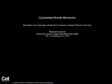 Cytoskeletal Bundle Mechanics