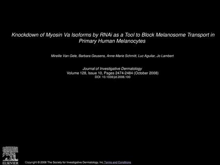 Knockdown of Myosin Va Isoforms by RNAi as a Tool to Block Melanosome Transport in Primary Human Melanocytes  Mireille Van Gele, Barbara Geusens, Anne-Marie.