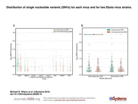 Distribution of single nucleotide variants (SNVs) for each virus and for two Ebola virus strains. Distribution of single nucleotide variants (SNVs) for.