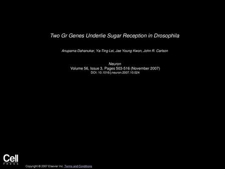 Two Gr Genes Underlie Sugar Reception in Drosophila