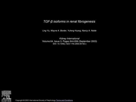 TGF-β isoforms in renal fibrogenesis