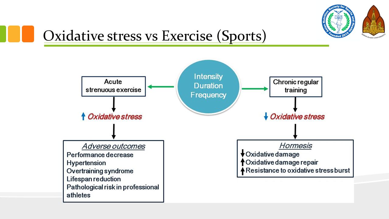 Oxidative+stress+vs+Exercise+%28Sports%29