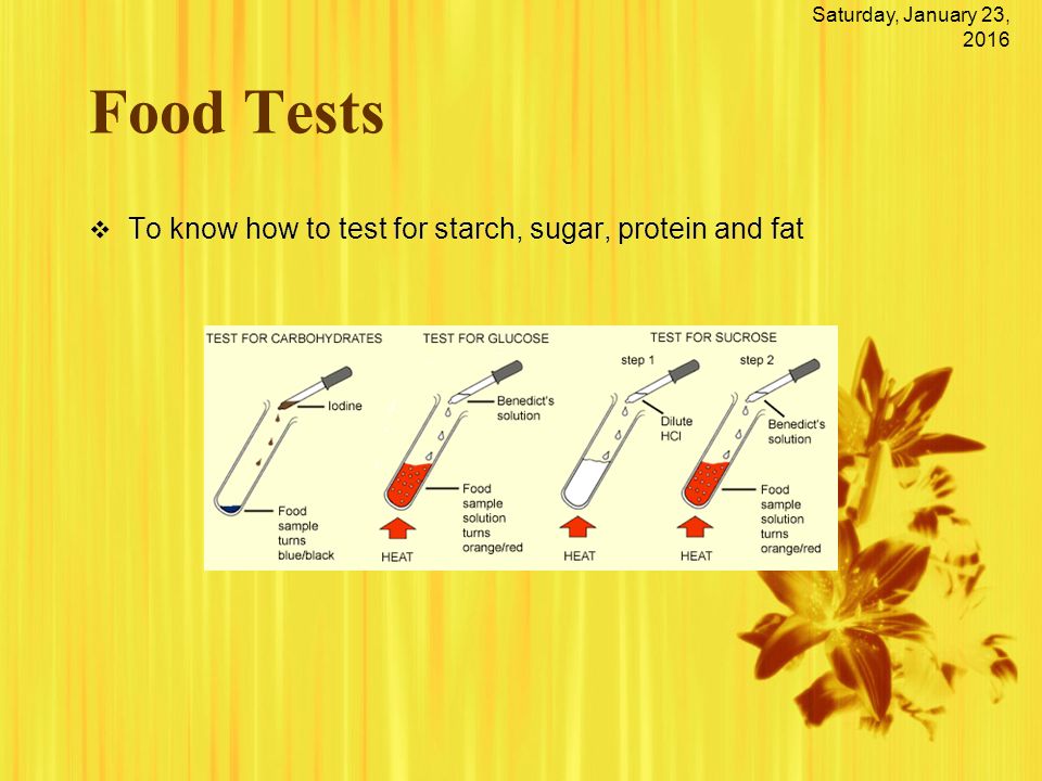 How To Test For Fat 20