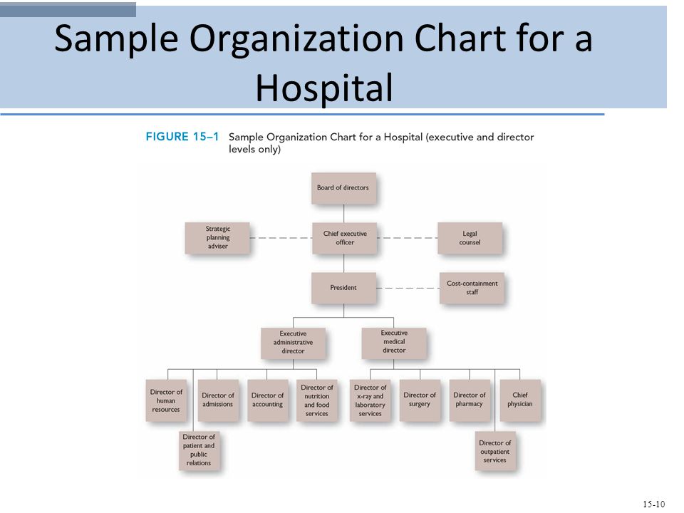 Sample Hospital Organizational Chart
