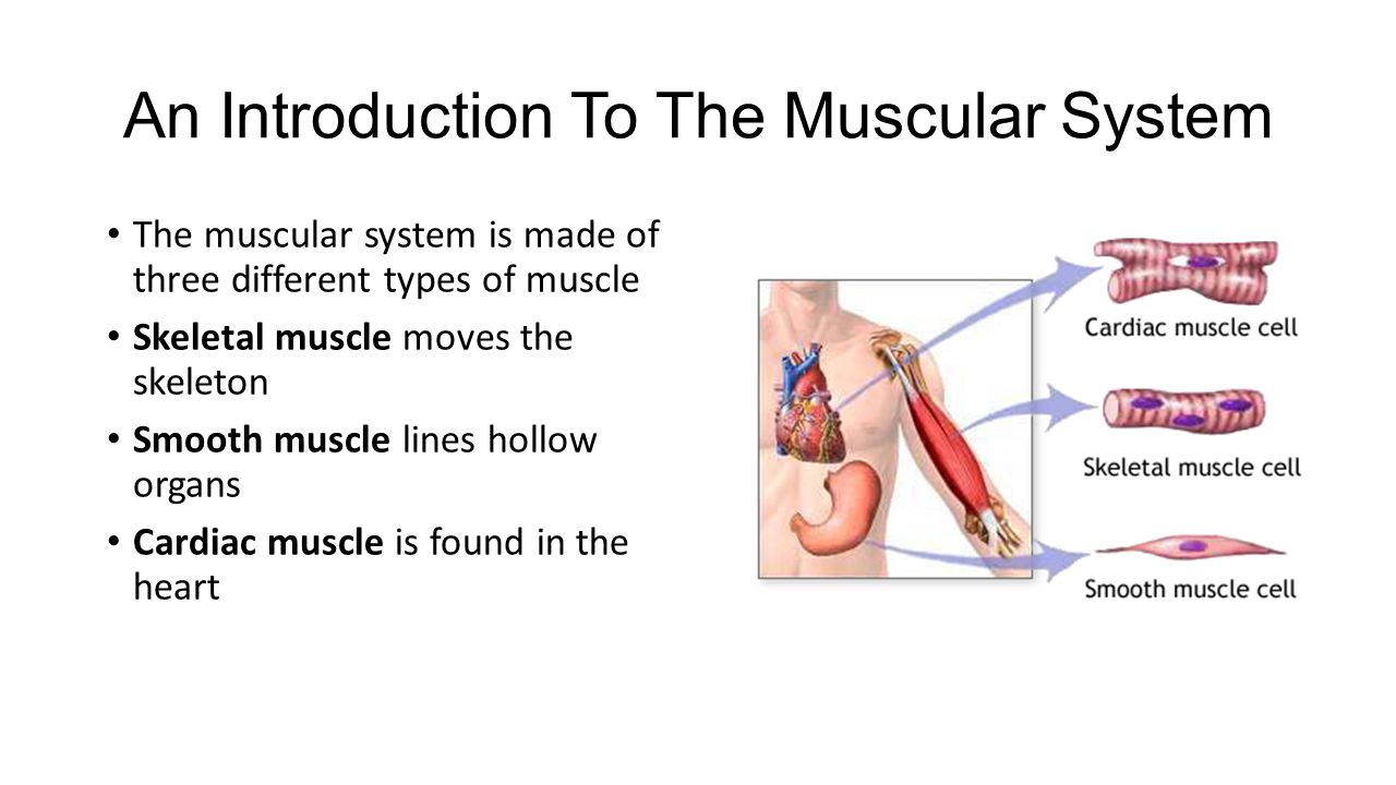 physical methods