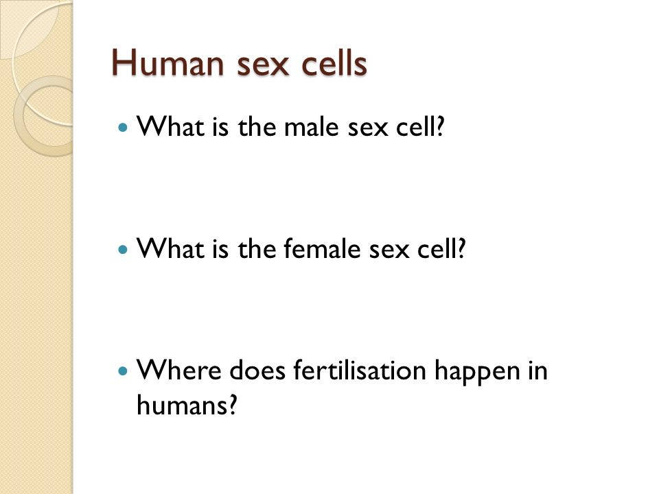 What Is The Male Sex Cell 30
