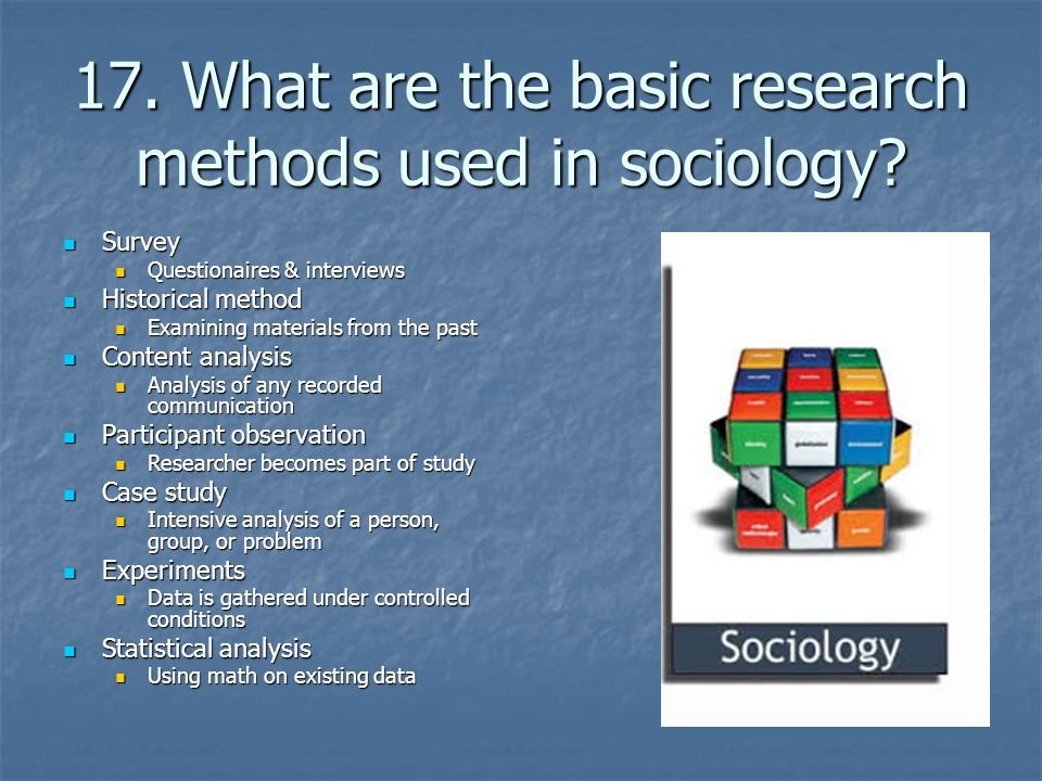 What Will I Learn in Sociology Courses?