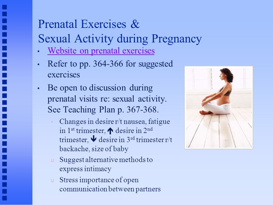 Pregnancy Sexual Activity 16