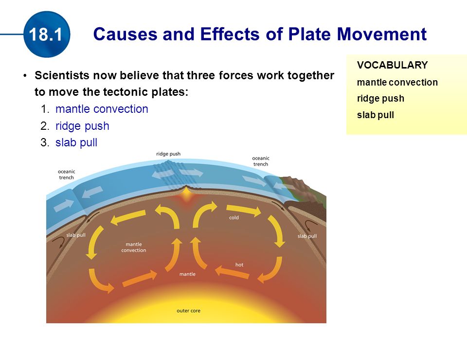 download neurology of