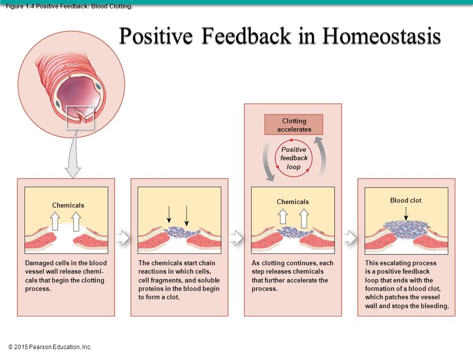 download the functions disease related dysfunctions and therapeutic targeting