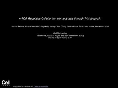 mTOR Regulates Cellular Iron Homeostasis through Tristetraprolin