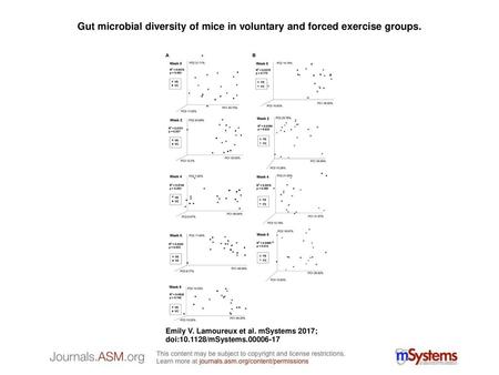 Gut microbial diversity of mice in voluntary and forced exercise groups. Gut microbial diversity of mice in voluntary and forced exercise groups. Weighted.
