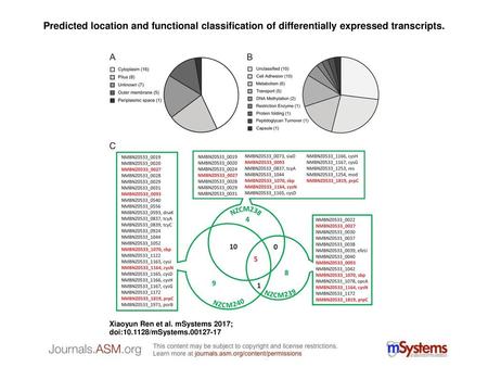 Predicted location and functional classification of differentially expressed transcripts. Predicted location and functional classification of differentially.