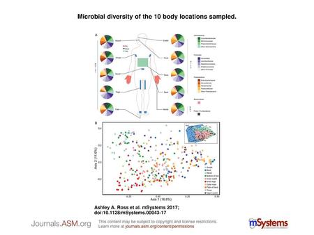 Microbial diversity of the 10 body locations sampled.