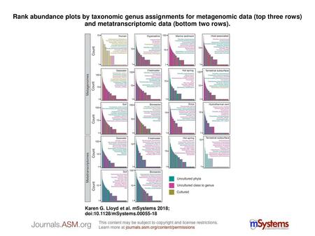 Rank abundance plots by taxonomic genus assignments for metagenomic data (top three rows) and metatranscriptomic data (bottom two rows). Rank abundance.