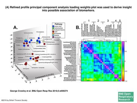 (A) Refined profile principal component analysis loading weights plot was used to derive insight into possible association of biomarkers. (A) Refined profile.