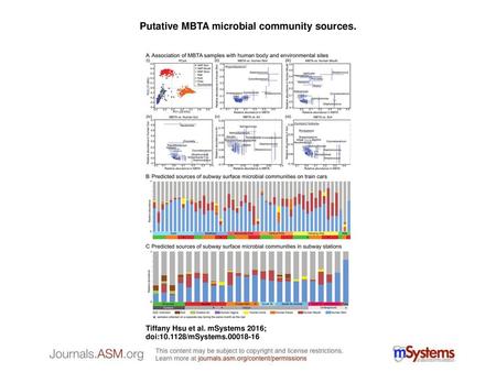Putative MBTA microbial community sources.