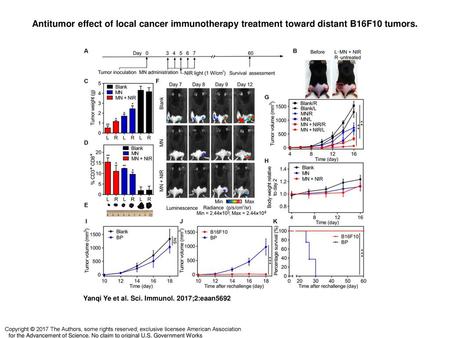 Antitumor effect of local cancer immunotherapy treatment toward distant B16F10 tumors. Antitumor effect of local cancer immunotherapy treatment toward.