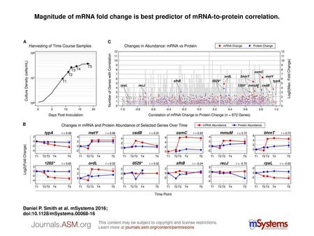 Magnitude of mRNA fold change is best predictor of mRNA-to-protein correlation. Magnitude of mRNA fold change is best predictor of mRNA-to-protein correlation.