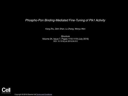 Phospho-Pon Binding-Mediated Fine-Tuning of Plk1 Activity