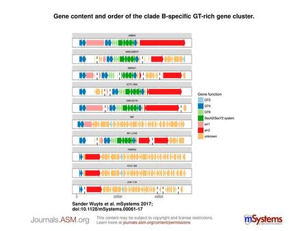 Gene content and order of the clade B-specific GT-rich gene cluster.